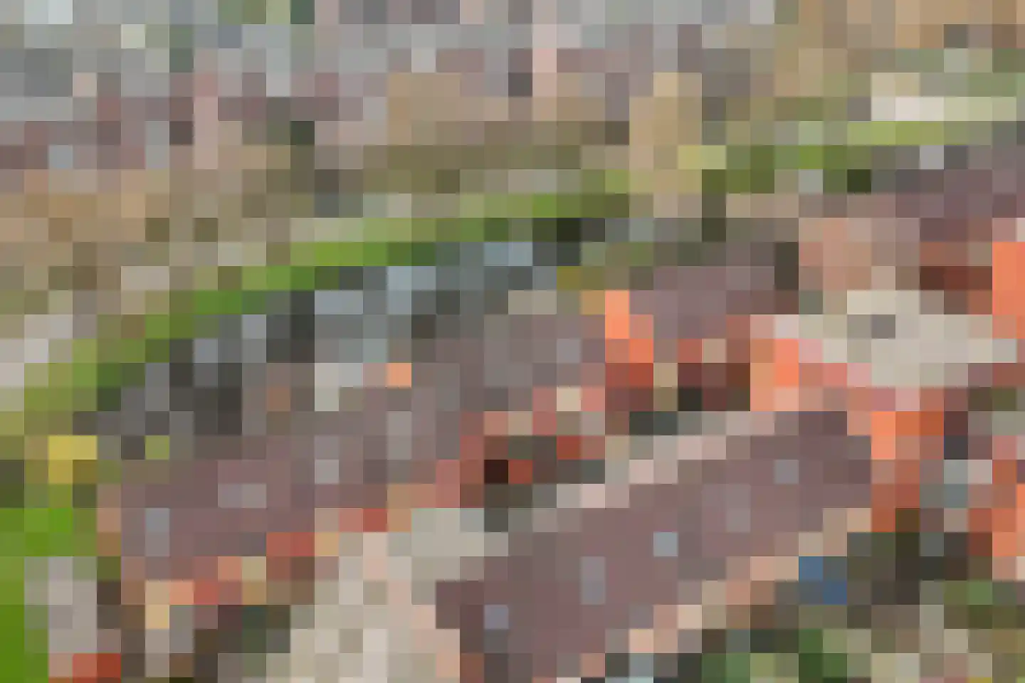Koningsdiep 11 Zaandam thumbnail 8