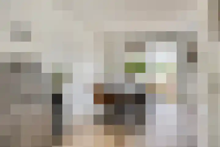 Koningsdiep 15 Kaatsheuvel thumbnail 11