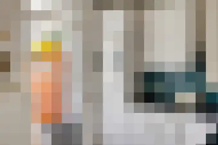 Koningsdiep 15 Kaatsheuvel thumbnail 15