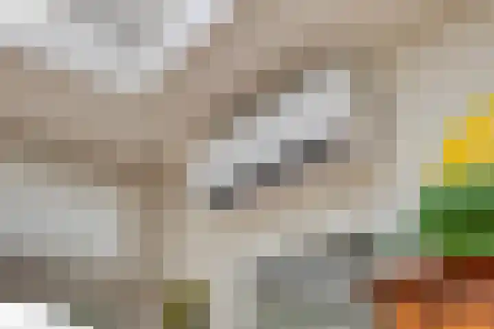 Koningsdiep 15 Kaatsheuvel thumbnail 21