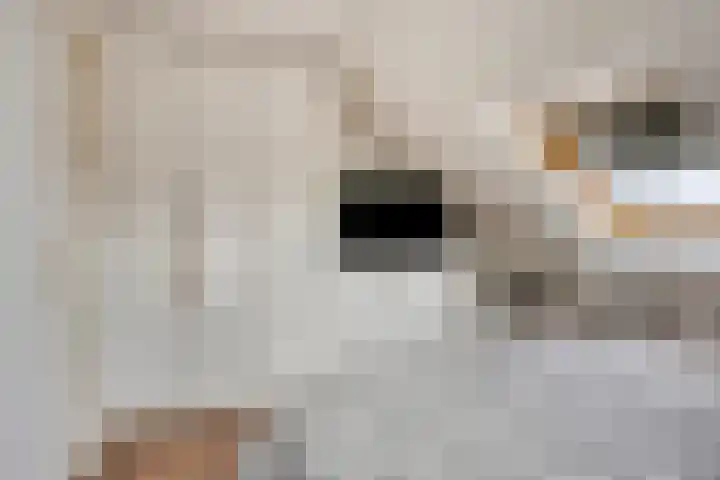 Koningsdiep 15 Kaatsheuvel thumbnail 33