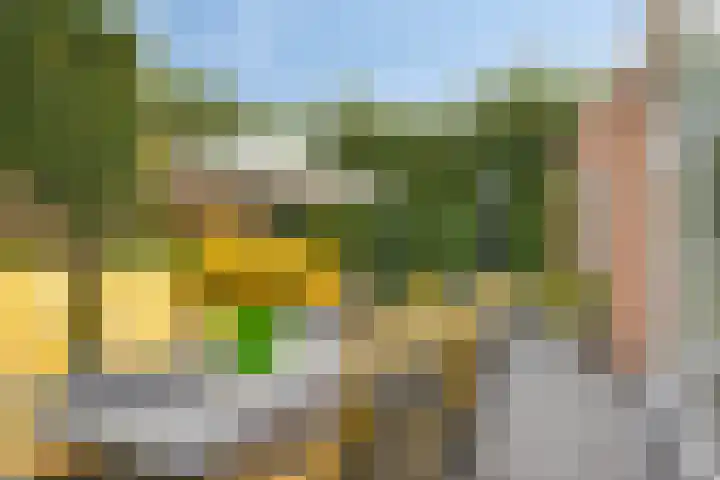 Koningsdiep 15 Kaatsheuvel thumbnail 35