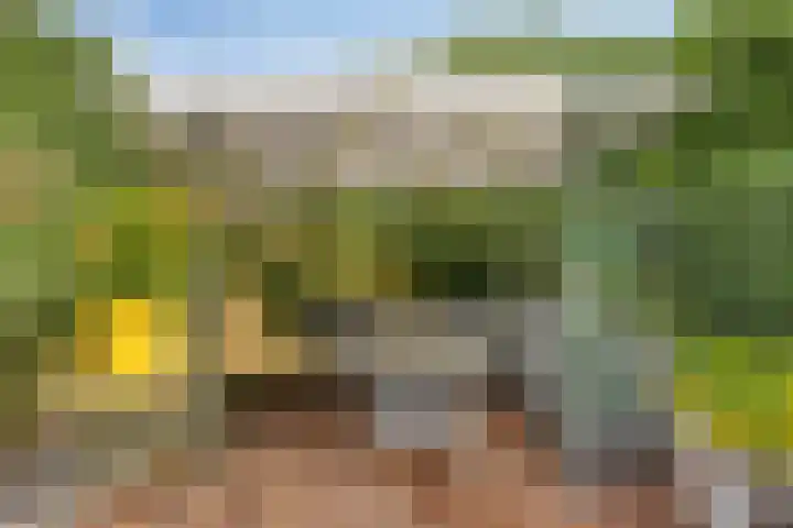 Koningsdiep 15 Kaatsheuvel thumbnail 37
