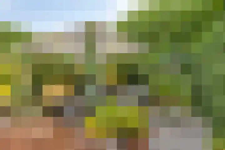 Koningsdiep 15 Kaatsheuvel thumbnail 38