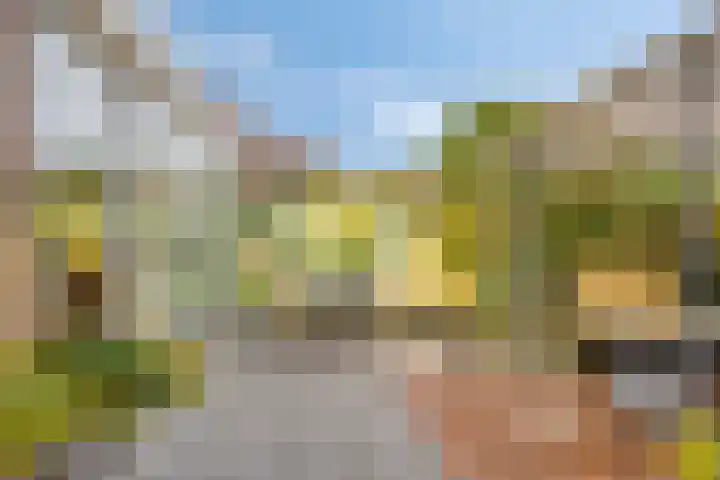 Koningsdiep 15 Kaatsheuvel thumbnail 39