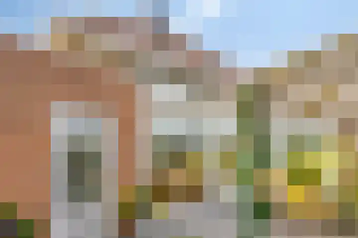 Koningsdiep 15 Kaatsheuvel thumbnail 40