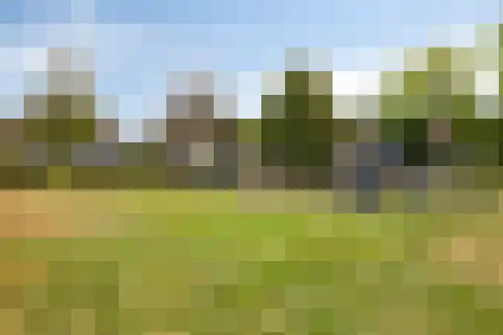 Koningsdiep 15 Kaatsheuvel thumbnail 42