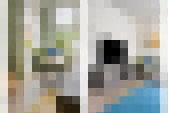 Koningsdiep 15 Kaatsheuvel thumbnail 9