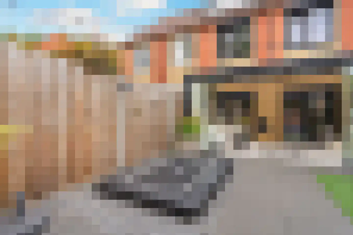 Koningsdiep 51 Zaandam thumbnail 19