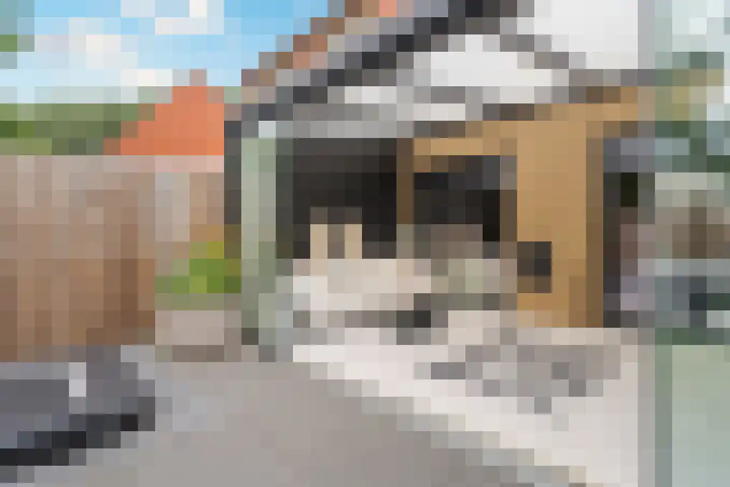 Koningsdiep 51 Zaandam thumbnail 20