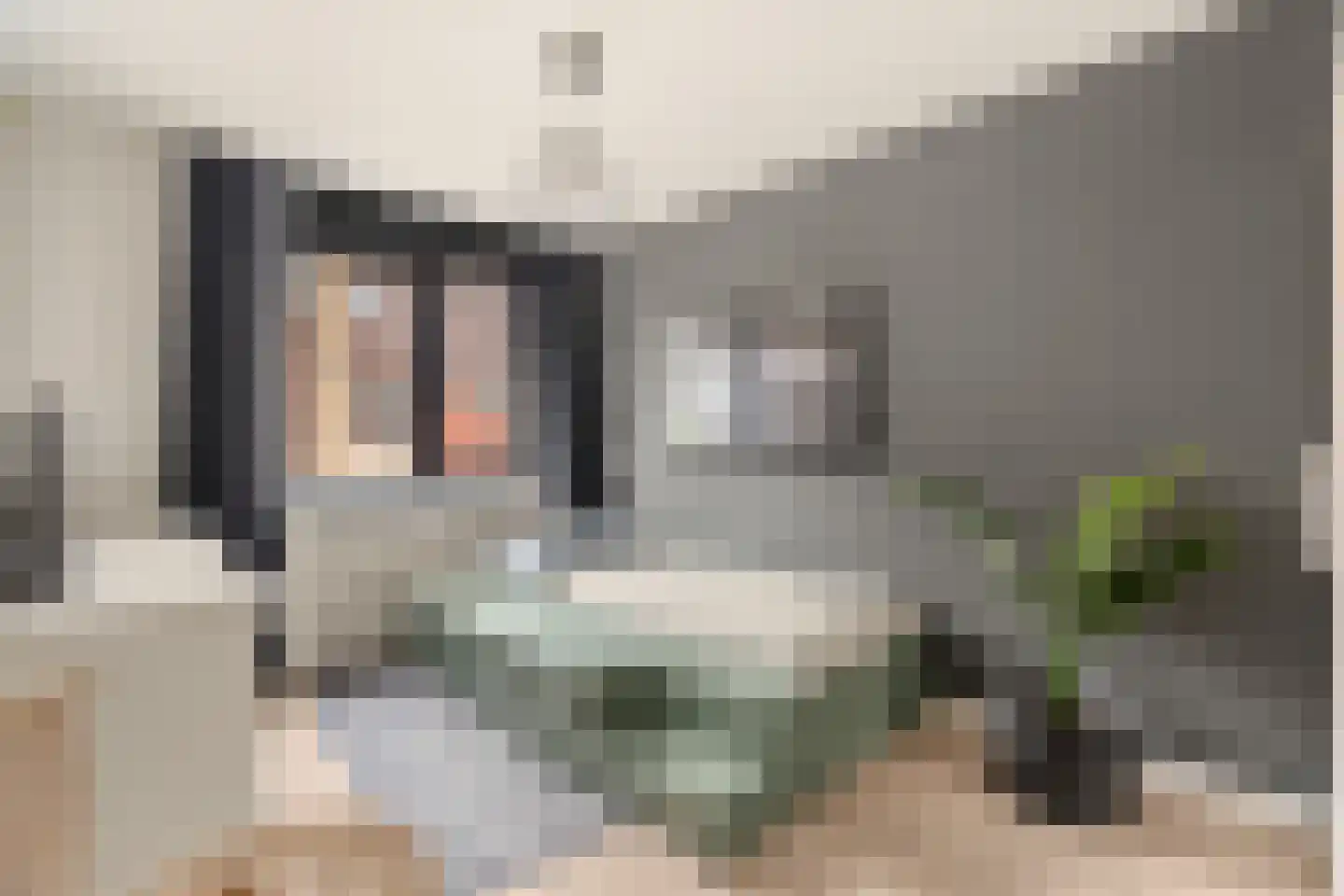 Koningsdiep 51 Zaandam thumbnail 33