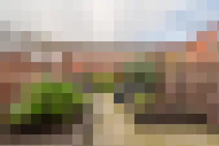 Koningsdiep 54 Zaandam thumbnail 15