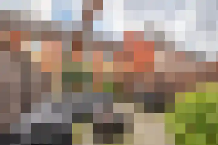 Koningsdiep 54 Zaandam thumbnail 17