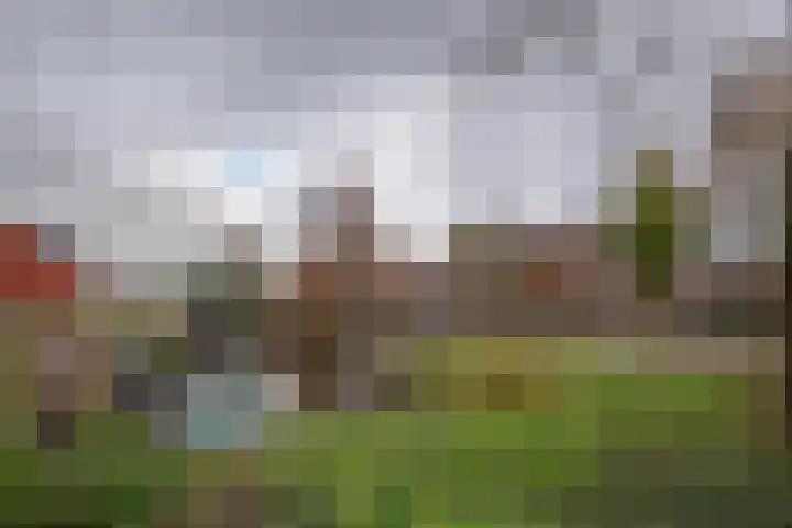 Koningsdiep 54 Zaandam thumbnail 37