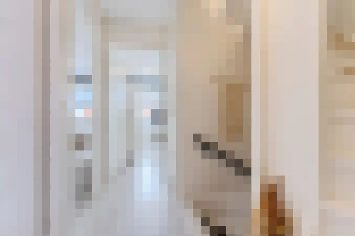 Koningsdiep 64 Zaandam thumbnail 20