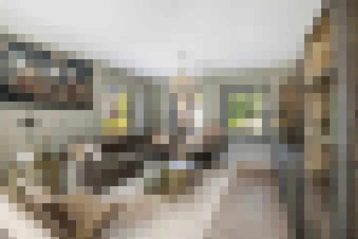 Koningsdiep 7 Brielle thumbnail 12