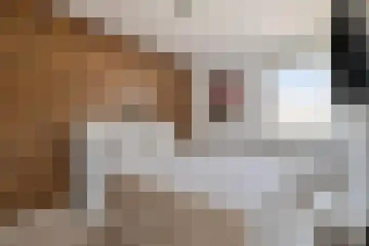 Koningsdiep 7 Brielle thumbnail 61