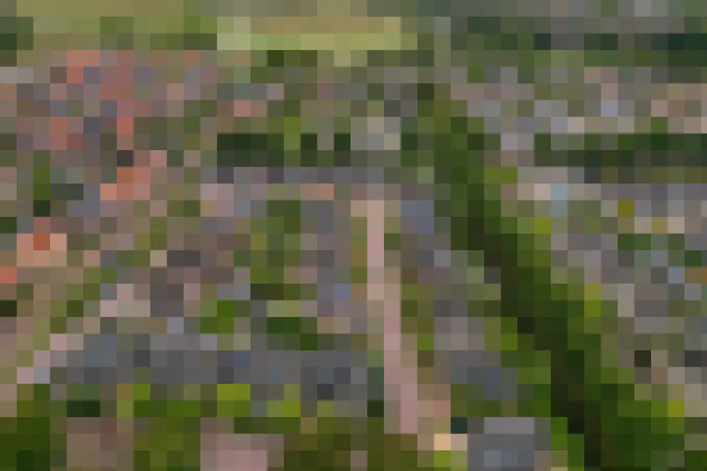 Koningsdiep 7 Brielle thumbnail 69