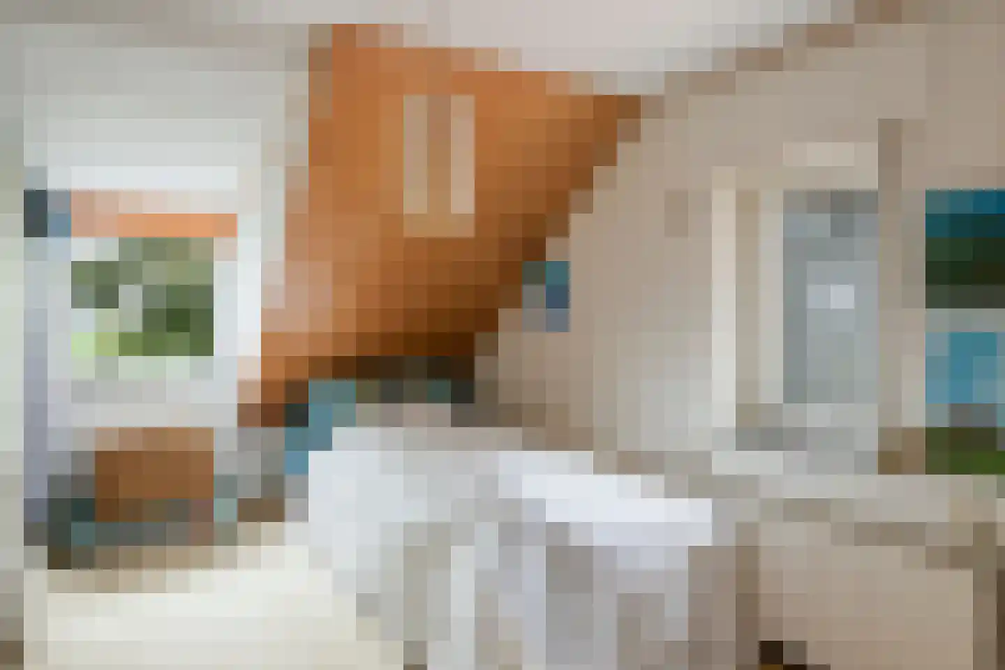 Koningsdijk 9 Hengstdijk thumbnail 21