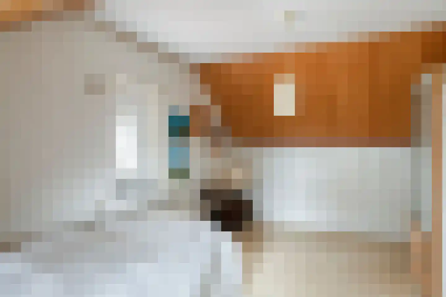 Koningsdijk 9 Hengstdijk thumbnail 22