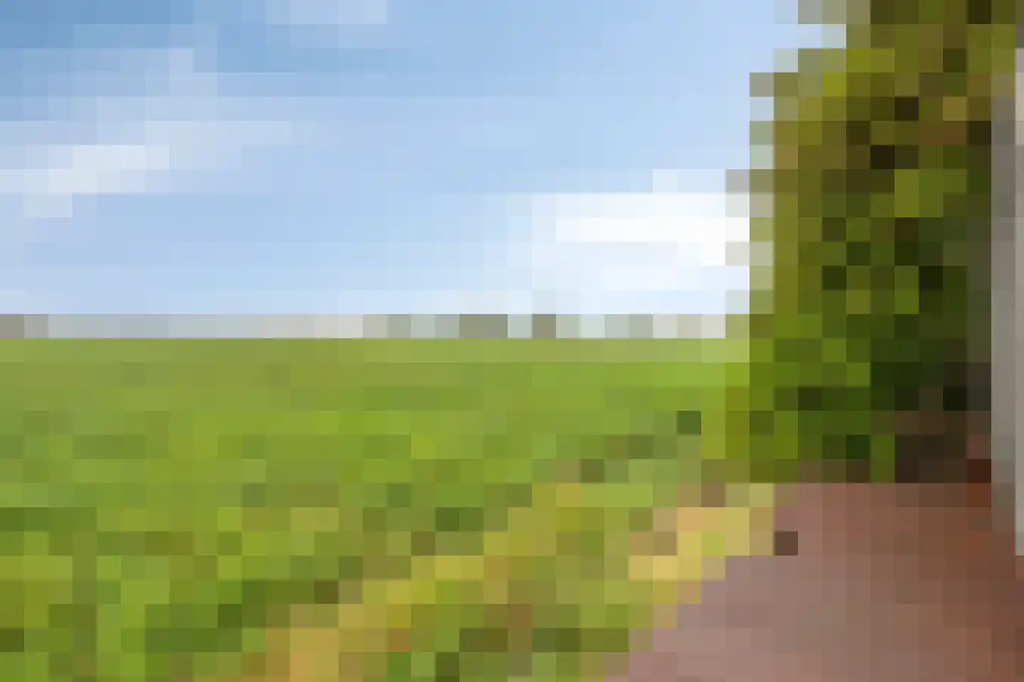 Koningsdijk 9 Hengstdijk thumbnail 29