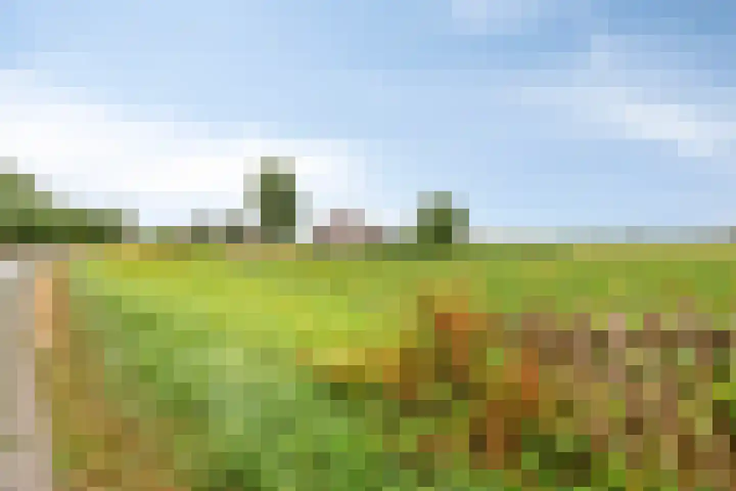 Koningsdijk 9 Hengstdijk thumbnail 36