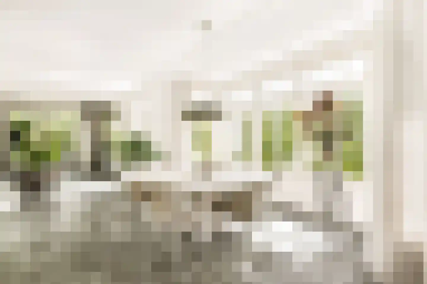 Koningsduin 19 Castricum thumbnail 12