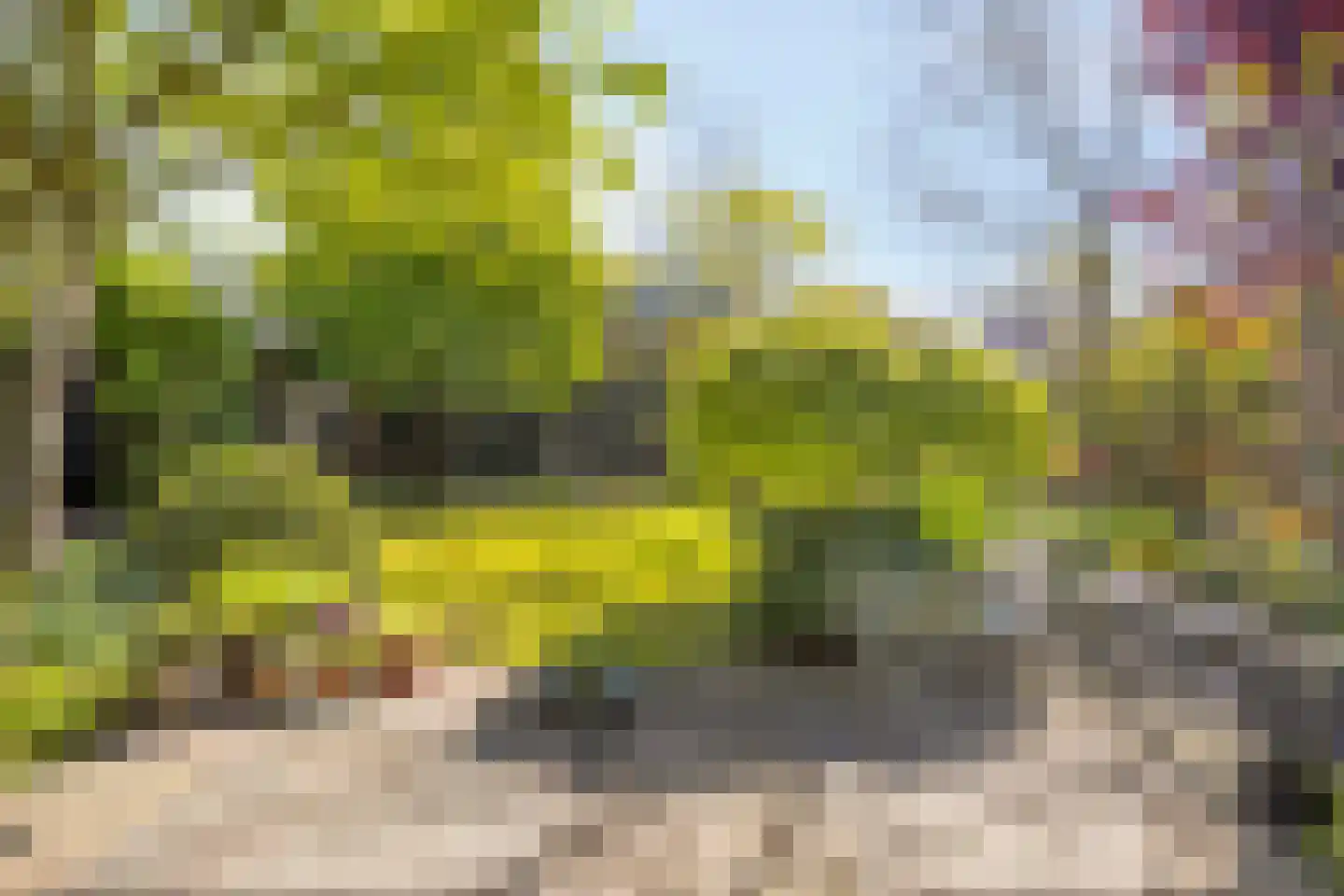 Koningsduin 19 Castricum thumbnail 13