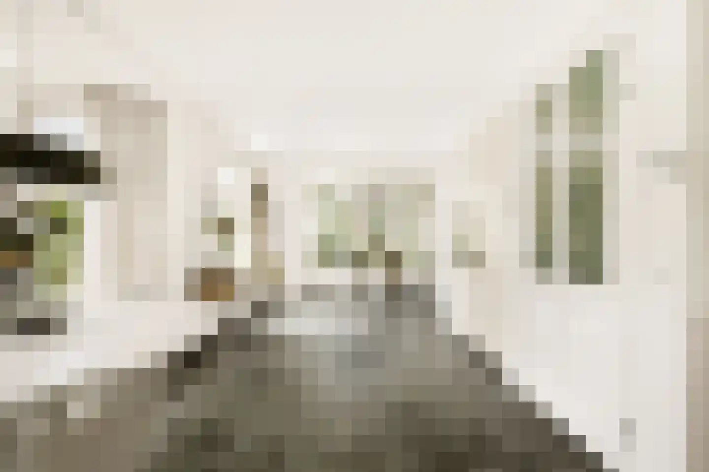 Koningsduin 19 Castricum thumbnail 13