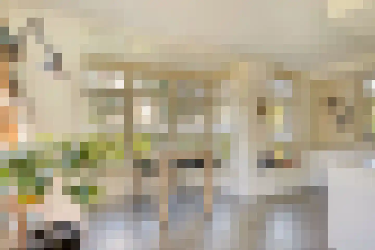 Koningsduin 19 Castricum thumbnail 17