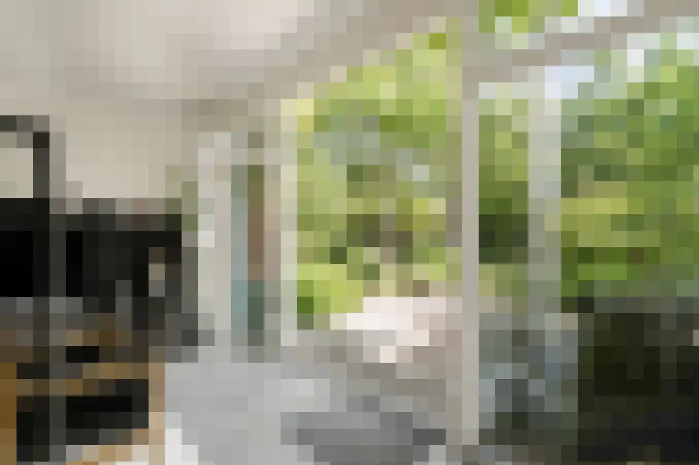 Koningsduin 19 Castricum thumbnail 17