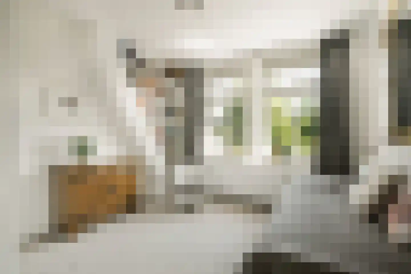 Koningsduin 19 Castricum thumbnail 20