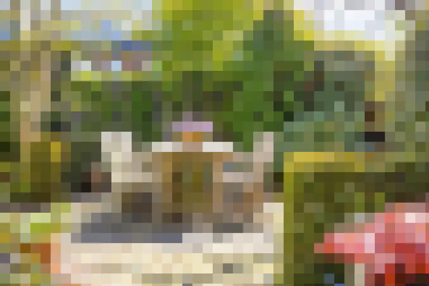 Koningsduin 19 Castricum thumbnail 21