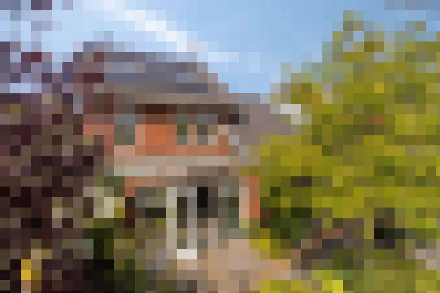 Koningsduin 19 Castricum thumbnail 22