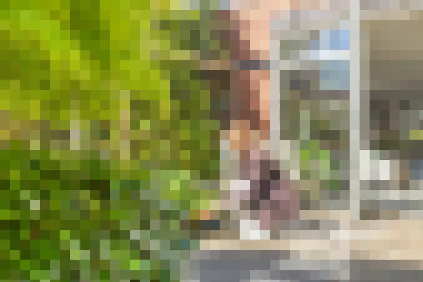 Koningsduin 19 Castricum thumbnail 24