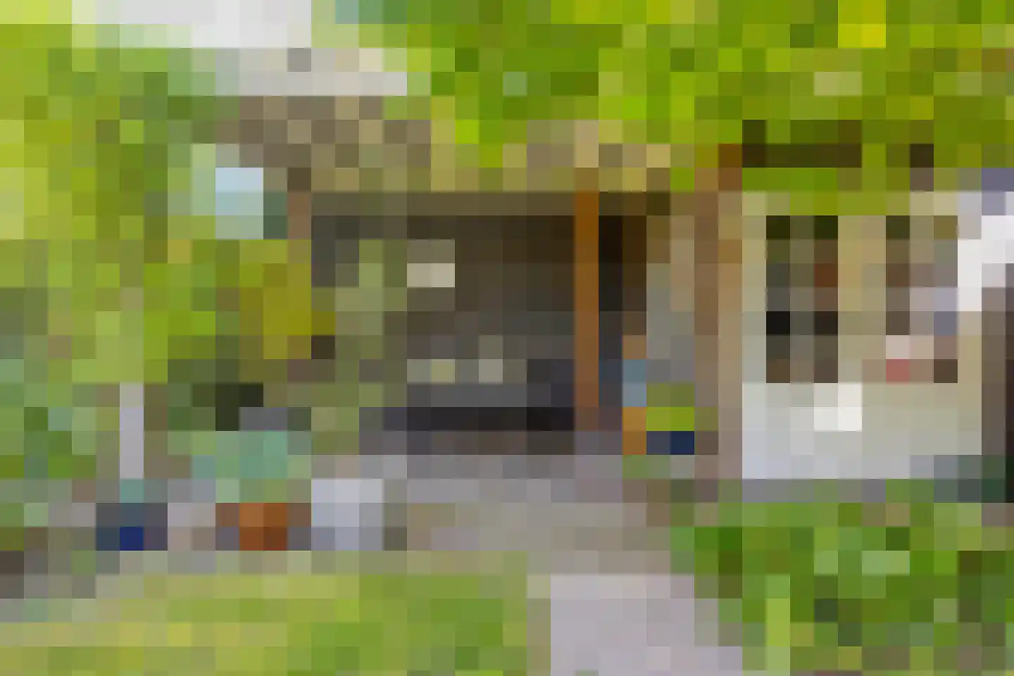 Koningsduin 19 Castricum thumbnail 25