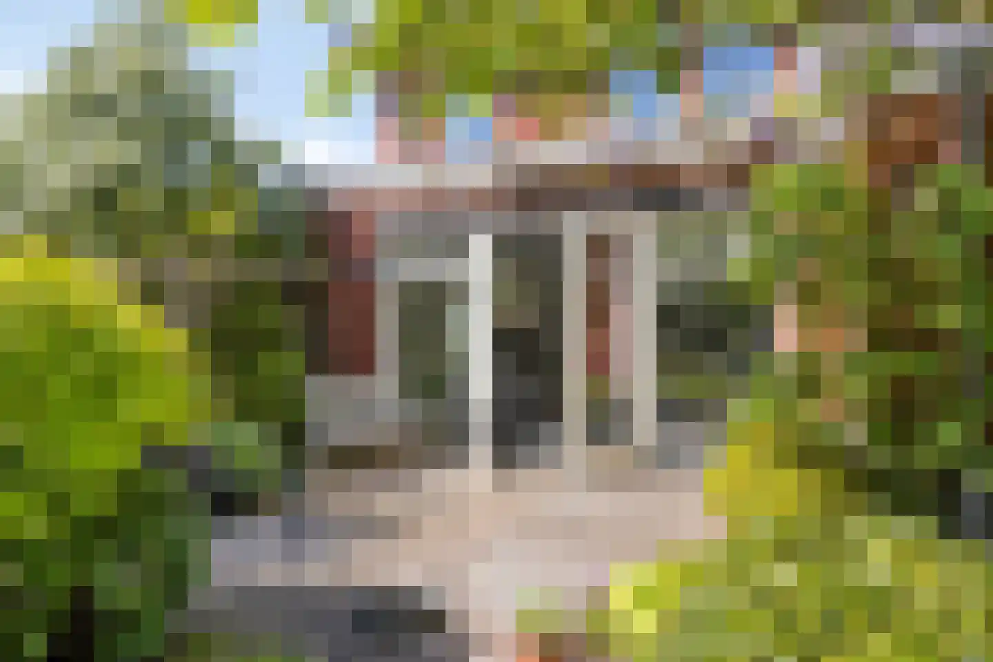 Koningsduin 19 Castricum thumbnail 27