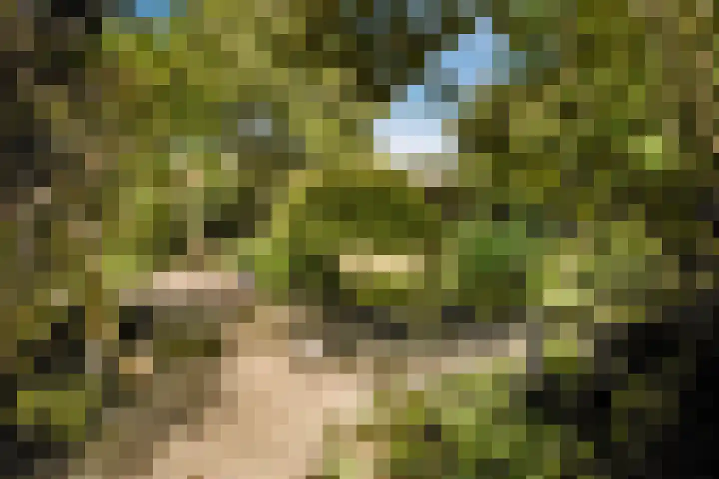Koningsduin 19 Castricum thumbnail 33