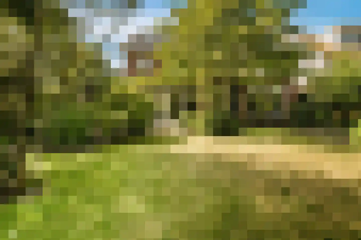 Koningsduin 19 Castricum thumbnail 36