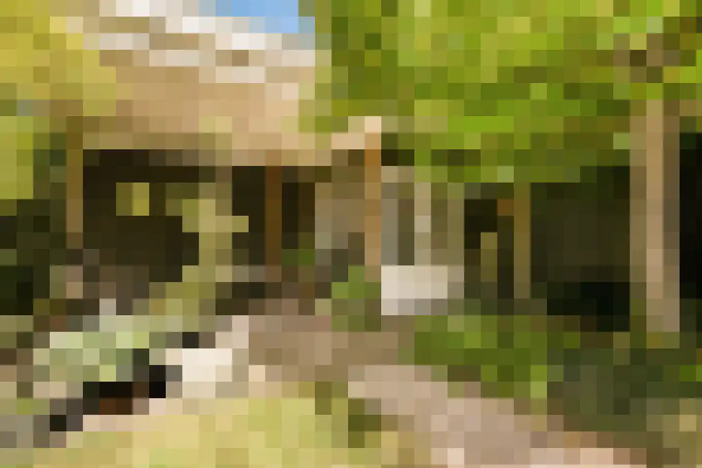 Koningsduin 19 Castricum thumbnail 37
