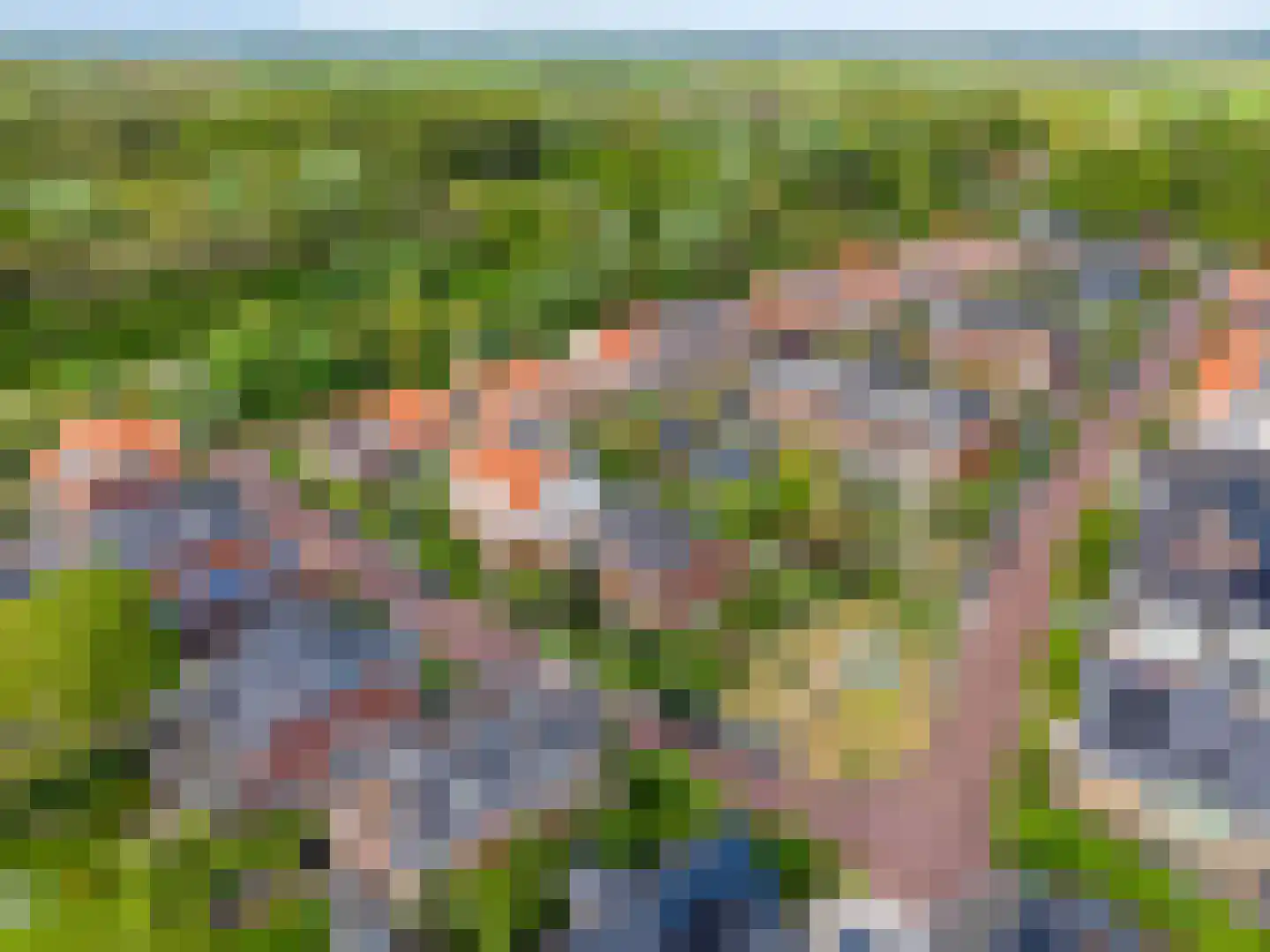 Koningsduin 19 Castricum thumbnail 4