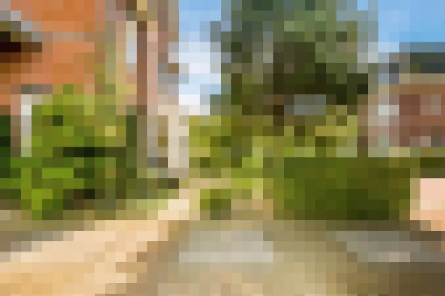 Koningsduin 19 Castricum thumbnail 40