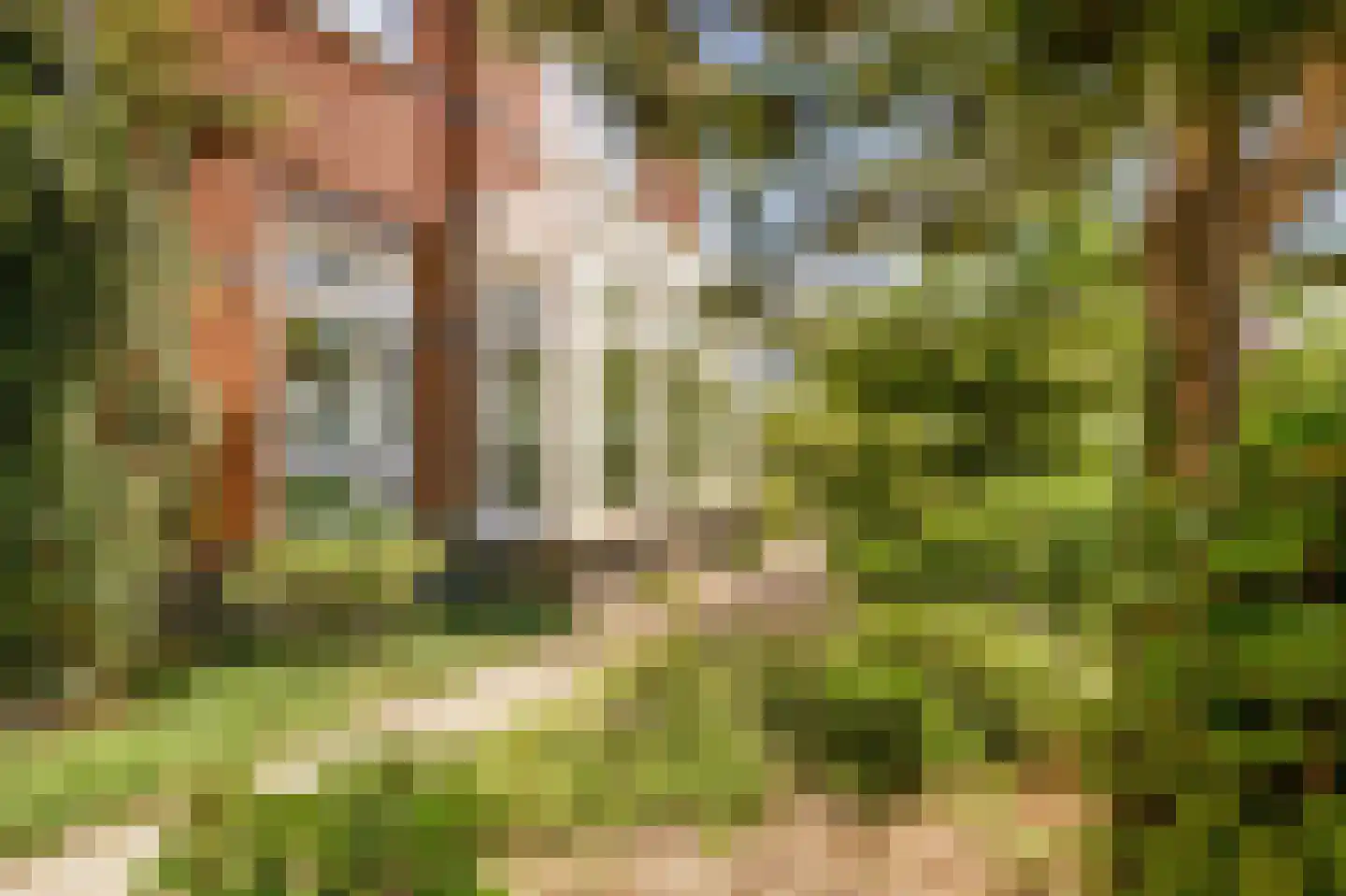 Koningsduin 19 Castricum thumbnail 41