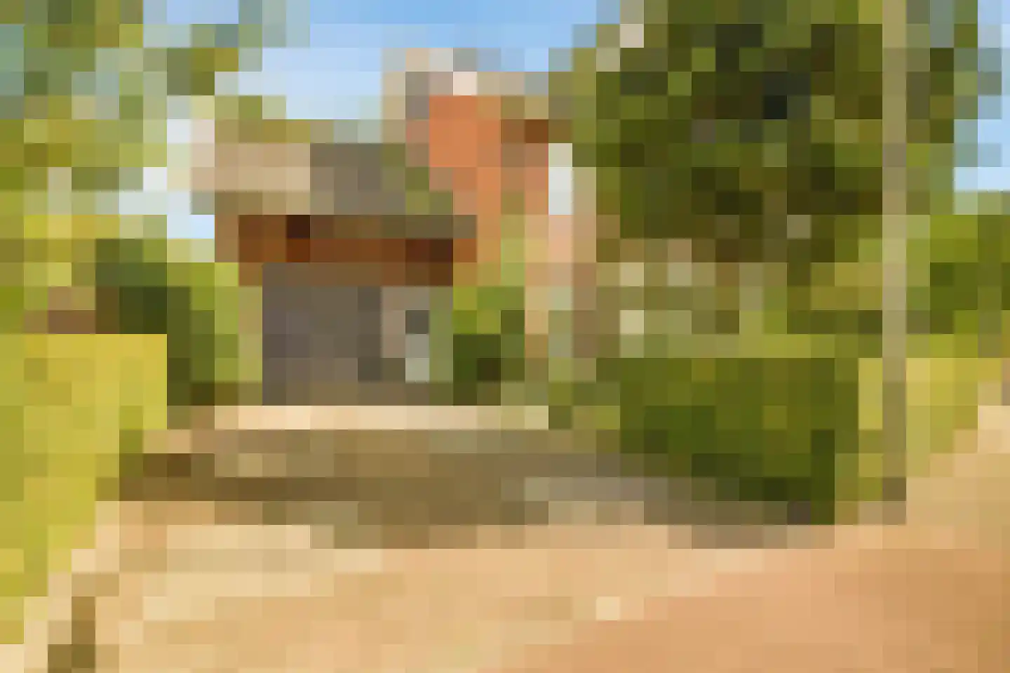 Koningsduin 19 Castricum thumbnail 42