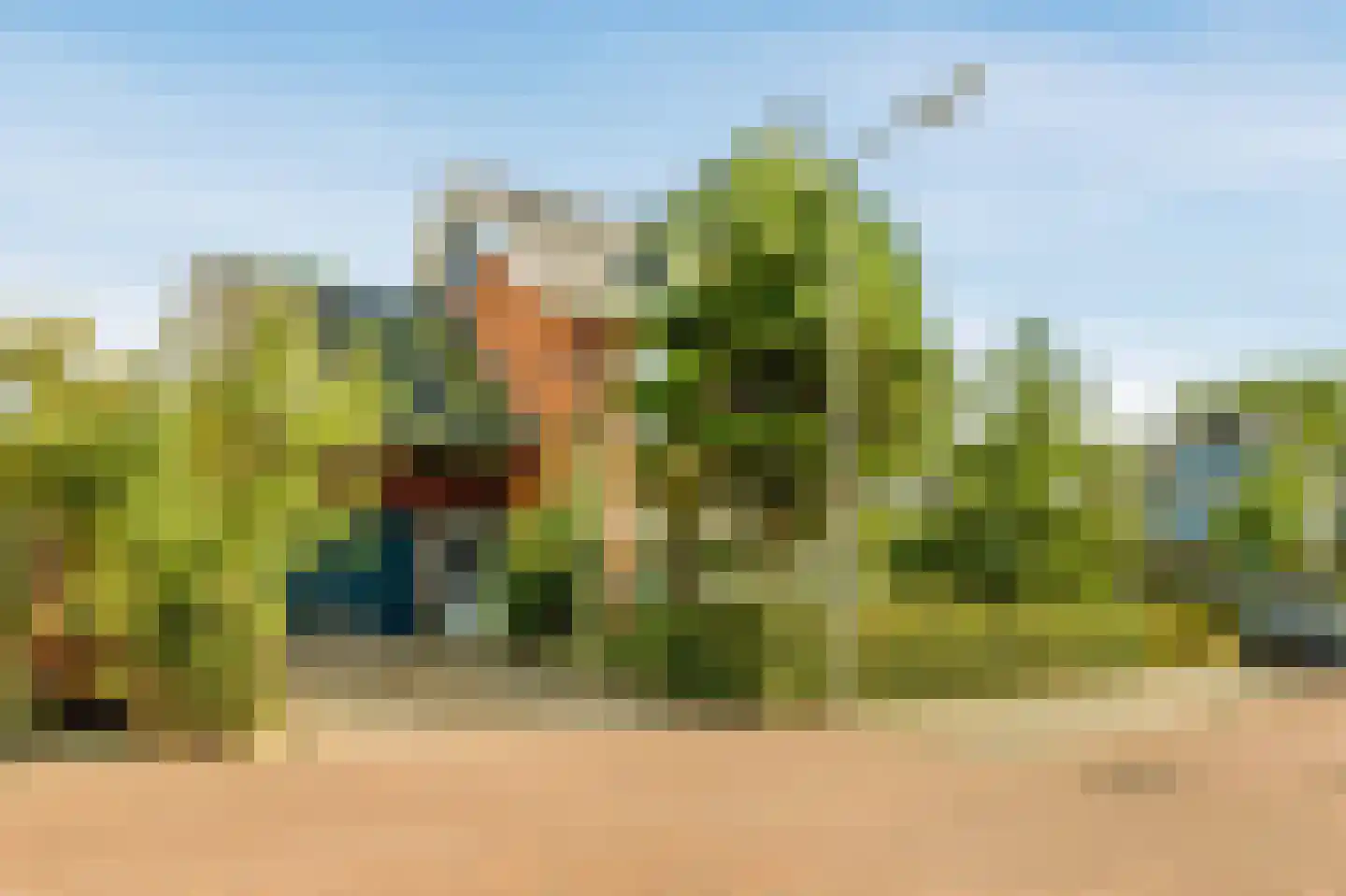 Koningsduin 19 Castricum thumbnail 43