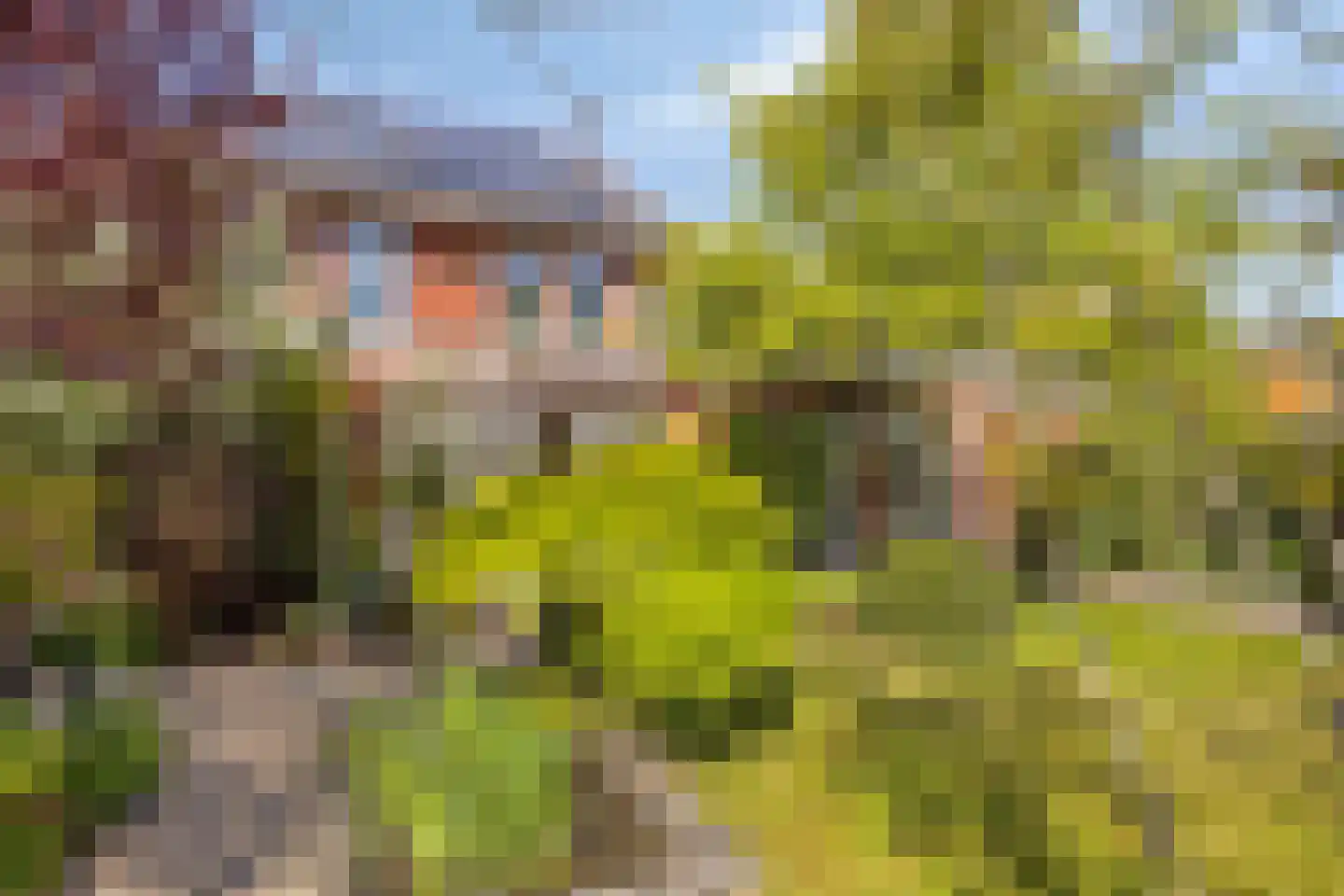 Koningsduin 19 Castricum thumbnail 44