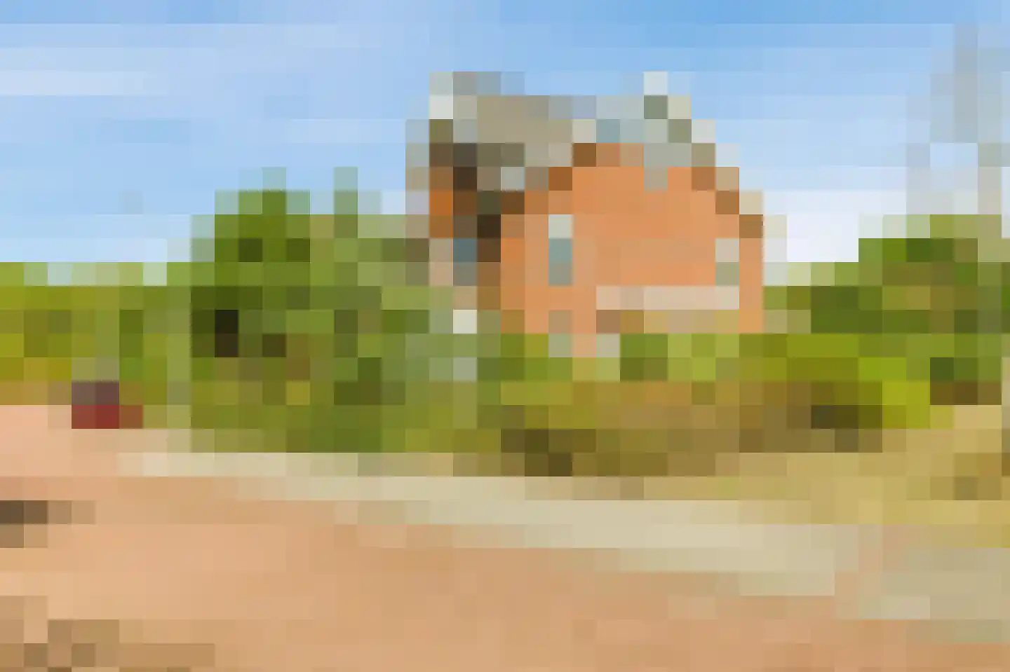 Koningsduin 19 Castricum thumbnail 44