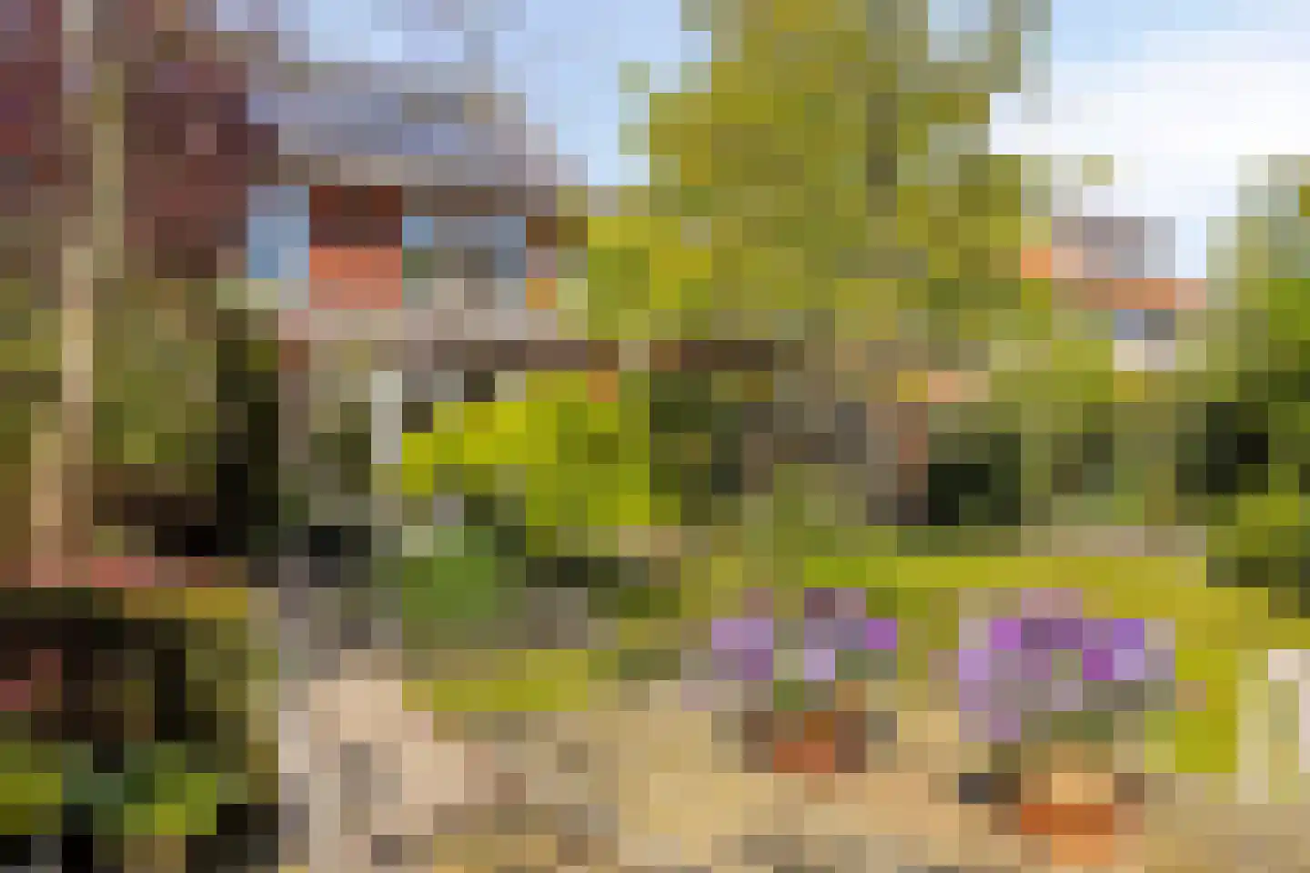 Koningsduin 19 Castricum thumbnail 45
