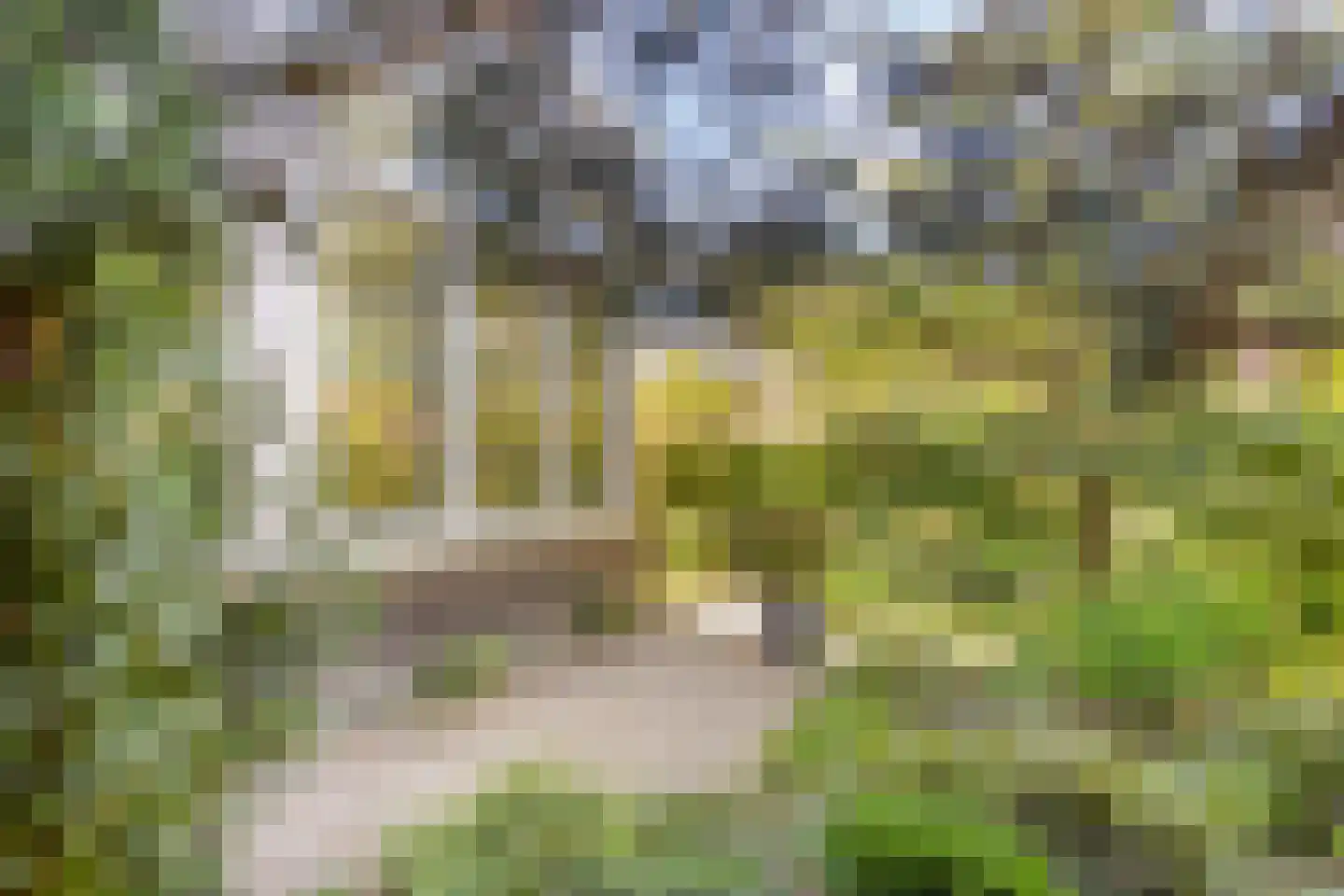 Koningsduin 19 Castricum thumbnail 46