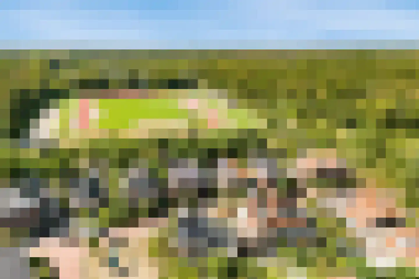 Koningsduin 19 Castricum thumbnail 46